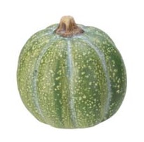  6cm