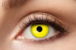    Yellow Crow Eye
