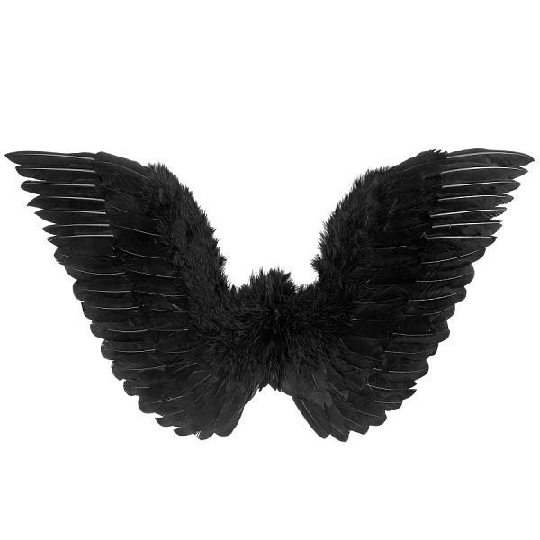 Αποκριάτικα Φτερά Μαύρα Diablo