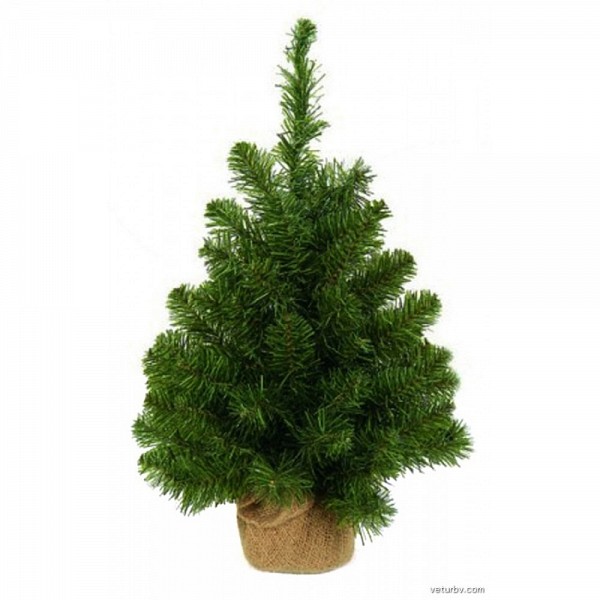 Χριστουγεννιάτικο Δέντρο Colorado τσουβαλάκι 60cm