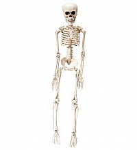   50