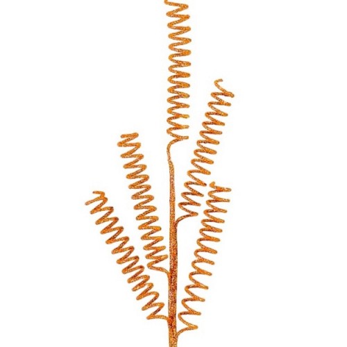    Spiral 54