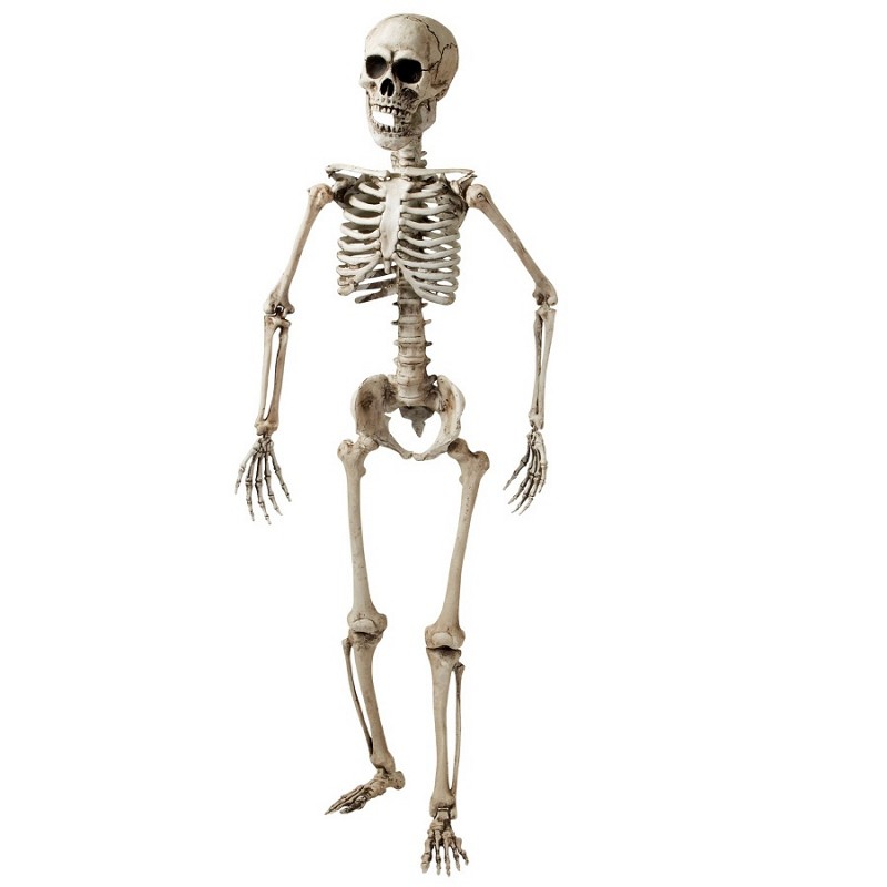   160cm