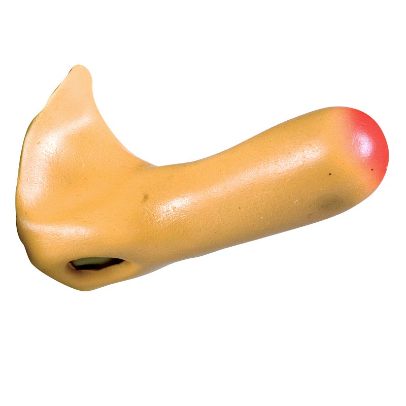    LATEX